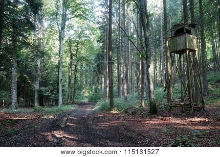 Watch Tower