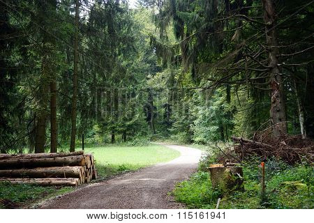 Heap Of Logs