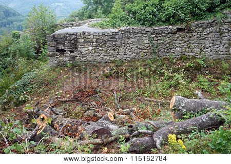 Ruine Grefenstein