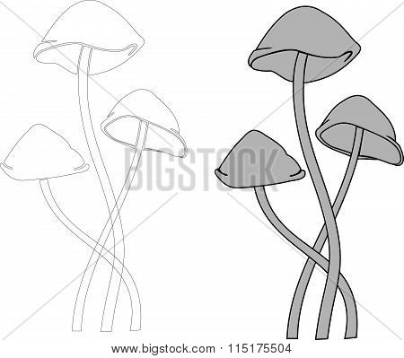 Vector Mushrooms Toadstool