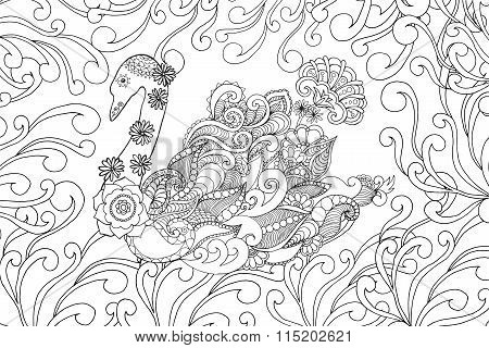 Swan coloring page