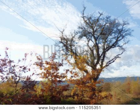 Autumn Trees
