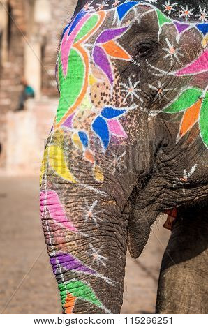 Elephant Ride