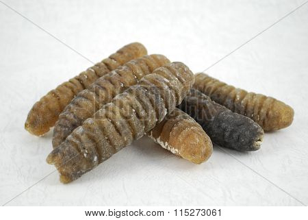Sea Cucumber Is Isolated On White Background.