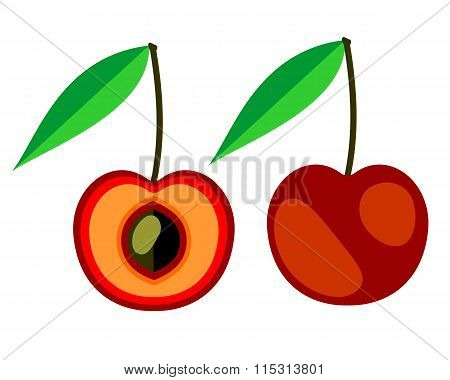 Vector fruits illustration. Detailed icon of cherry whole and half isolated over white background.Se