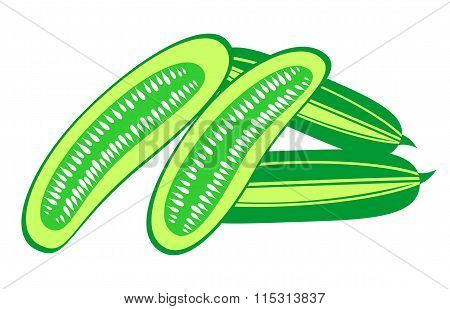 Vector illustration of cucumber isolated over white background/ Series of food and drink and ingredi
