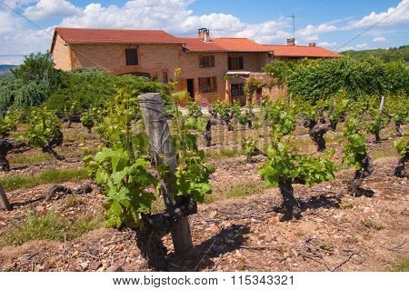 charnay,rhone,france