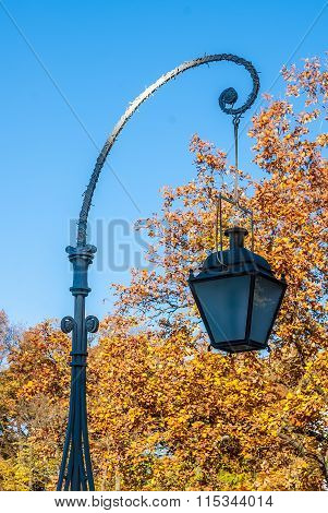 Lantern in autumn park