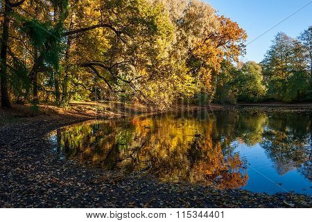 Autumn pond in park