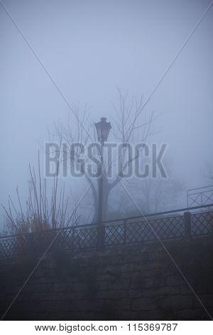 Tree And Street Lamp.