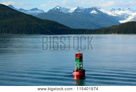 Sea Lions on the Buoy in Alaska