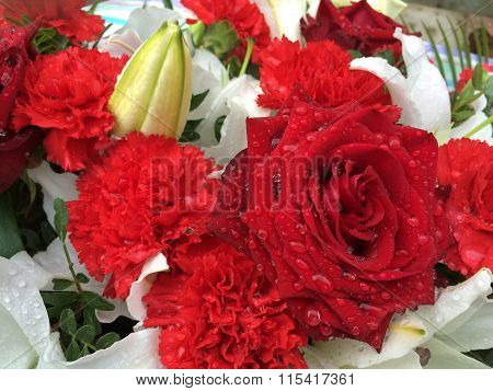 Beautiful flowers
