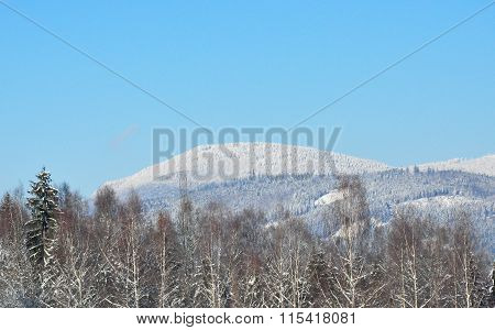 Falkenstein In Winter