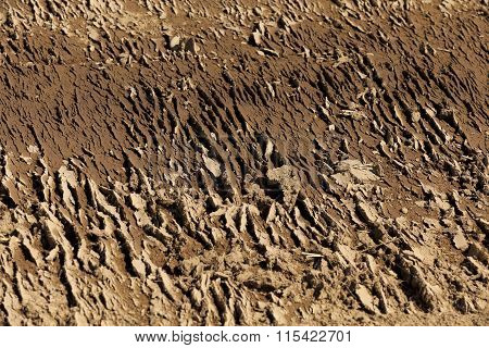 A Tractor Plowed Field Agricultural Land. Spring,  Sown And Close-up.
