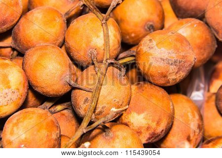 Macro Baccaurea Ramiflora