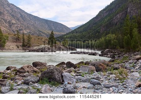 Argut River. Mountain Altai Landscape. Russia.
