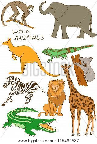 Set Of Isolated Wild Animals.