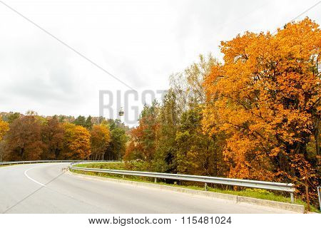 A colourful curving autumn road