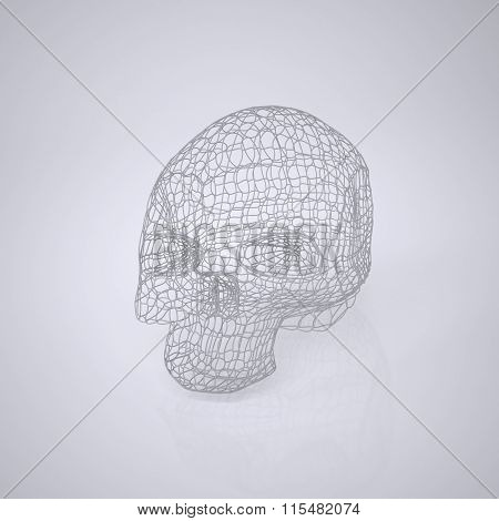 Skull - Head