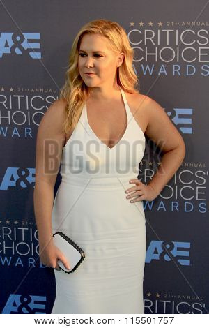 LOS ANGELES - JAN 17:  Amy Schumer at the 21st Annual Critics Choice Awards at the Barker Hanger on January 17, 2016 in Santa Monica, CA