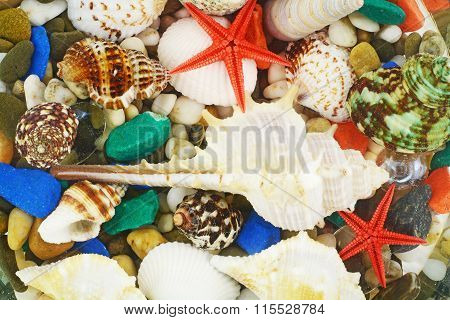 Sea Bottom