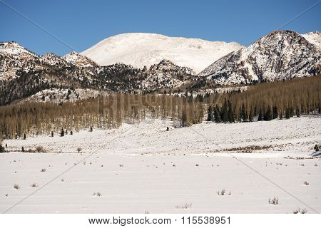 Winter At Pikes Peak
