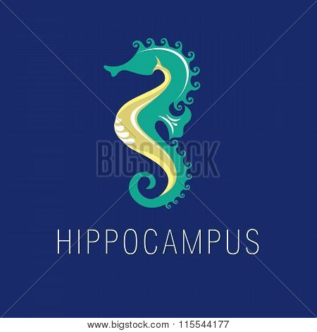 Template corporate company signs. Sea Horse. Corporate style for plumbing salon, pet shop, swimming pool, oceanarium. Marine logo.