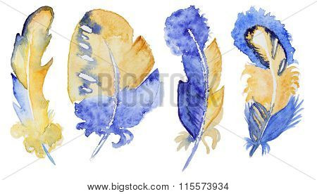 Set of watercolor feathers