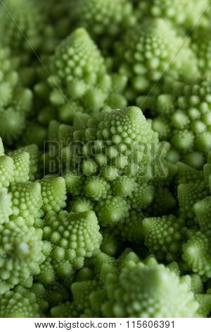 Romanesco Broccoli Close Up