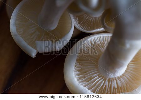 Organic Bunapi Mushrooms