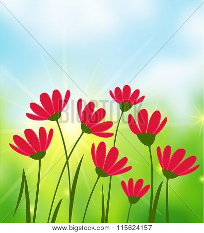Sunny Day background