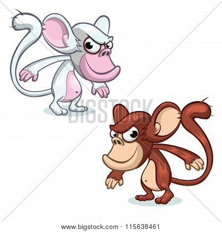 Vector monkey mascot set. New year character  for Chinese New Year