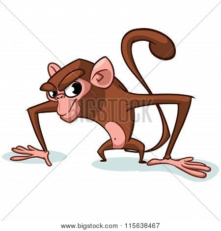 Cheeky Monkey Character. Vector mascot Cartoon monkey character. Mascot for Chinese New Year