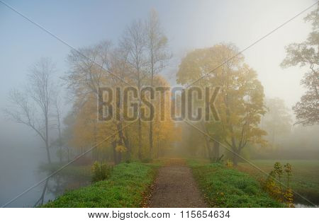 Autumn morning
