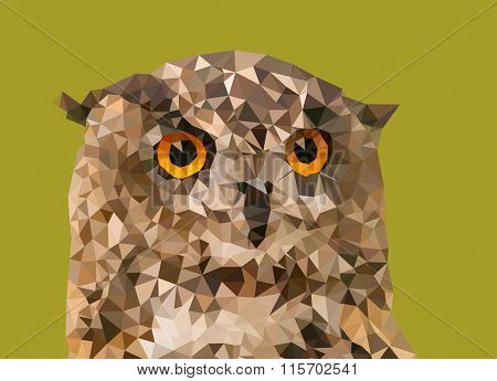 Eurasian eagle-owl from triangles