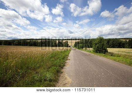 Rural Asphalted Road In The Summer. Road Through The Field