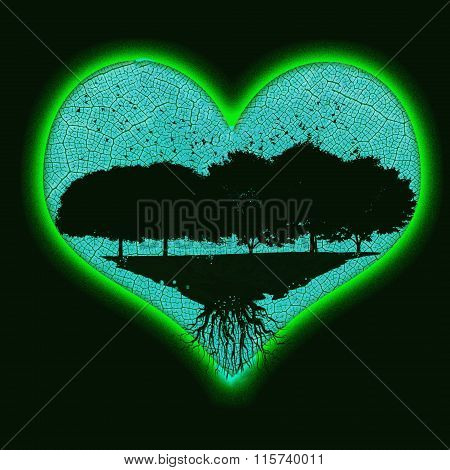 heart