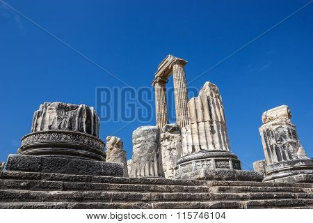 Part Of Columns In Temple Apollo Didim