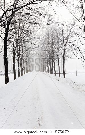 Photographed Road In The Winter. Winter, The Road Is Covered With Snow