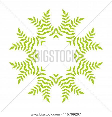 Round Leaf Pattern