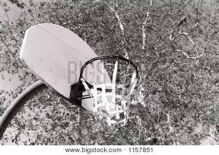 Basketball Rim