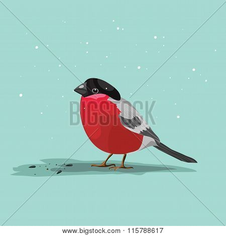 bullfinch