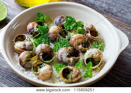Bourguignonne snail au gratin