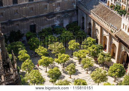 View from the top of a tower Giralda