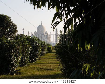 View From Mehtab Bagh To Taj Mahal