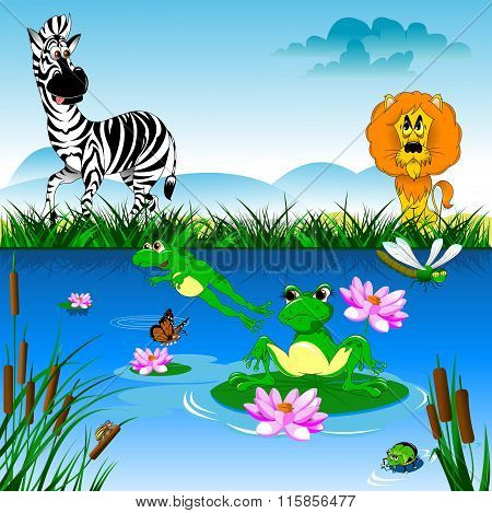 Zebra And Lion