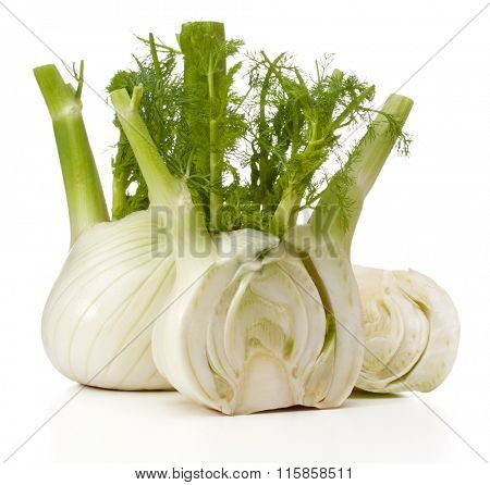 Fresh fennel bulb isolated on white background close up