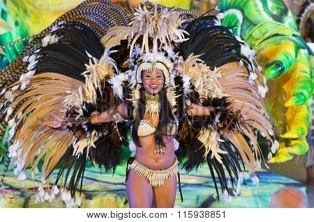 Beautiful Carnival Girl