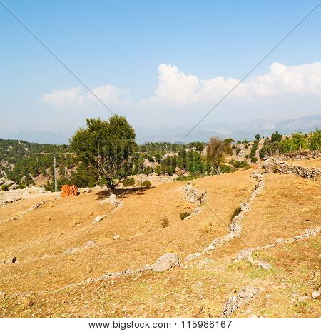 From The Hill In Asia Turkey Selge Old Architecture Ruins And Nature