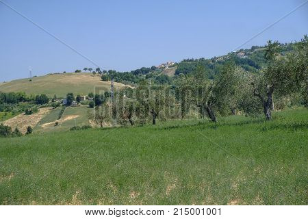 Landscape Near Ascoli Piceno At Summer
